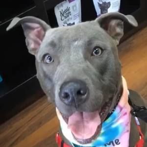 Meet your Posher, Edward